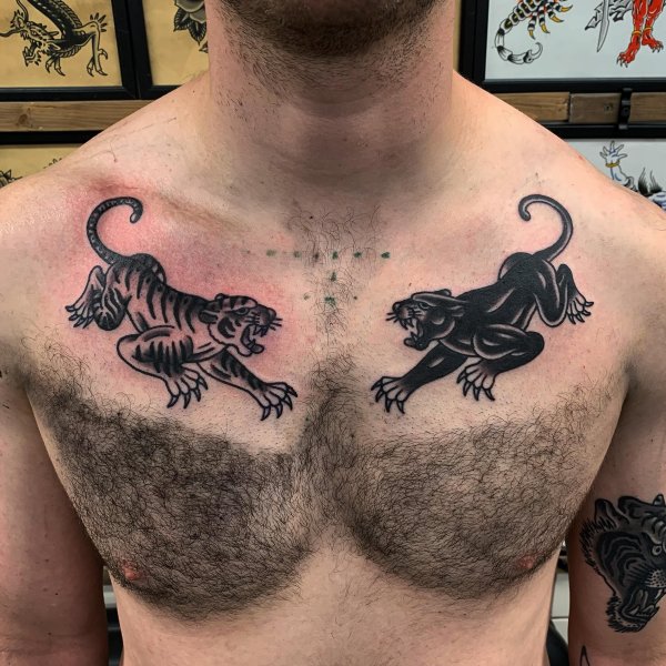 set of big cats for rory! cheers mate! DM for appointment...