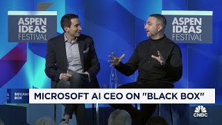 Microsoft AI CEO Mustafa Suleyman on 'Black Box'