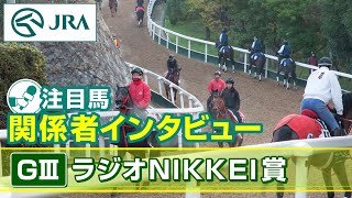【注目馬 関係者インタビュー】2024年 ラジオNIKKEI賞｜JRA公式