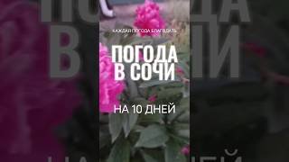 Погода на 10 дней в Сочи
