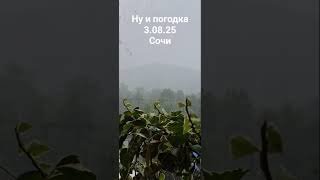 Погода в Сочи #Сочи #погода #дождь #ливень