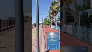 08.10.2025 В СОЧИ ЛЕТО / Погода в Сочи сегодня