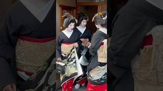襟替えされてから綺麗になられた二人の芸妓さん #京都 #芸妓
