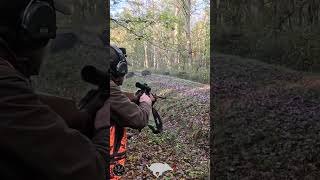 Ma plus belle scène de chasse aux sangliers en 2024 ! 🐗💥😍🌿  #chasse #sanglier #hunting