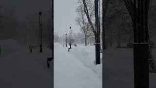 Разница погоды во Владивостоке и Южно-Сахалинске. #БлогВладивосток