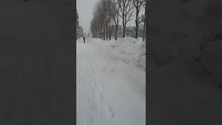 Сахалинская область🇷🇺 Южно-Сахалинск🇷🇺