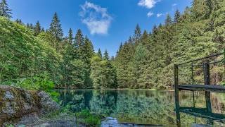 Sommer-Erlebnisse in Oberhof, im Thüringer Wald. Urlaub im Schlossberghotel Oberhof.