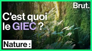 C'est quoi le GIEC ?