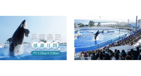 神戸須磨シーワールド、「兵庫県民感謝月間」を1月13日から開催 大人2,500円の特別料金で入館可能に | AMP[アンプ] - 人生の豊かさを生む瞬間を情報でつくりだす新世代向けビジネスメディア