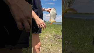 РЫБНОЕ МЕСТО В АСТРАХАНИ / Лето 2024 Яр-Базар #fishing #рыбалка #астрахань #astrakhan #2024