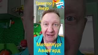 Каролина Анахайм / Трактор Амур / Металлург Авангард / Прогнозы 08 января #кхлпрогноз #спортбет #нхл