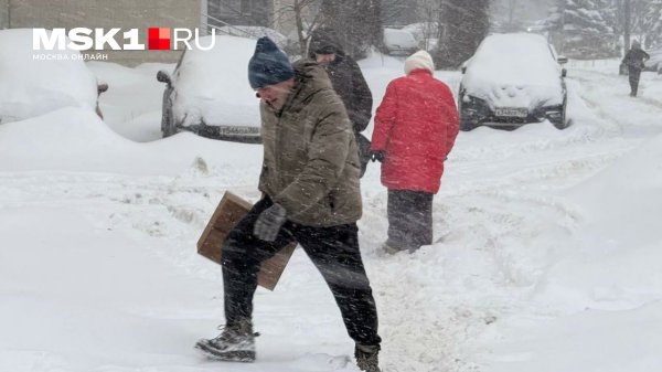 Самолеты не летают, машины стоят в снежном плену. Что происходит в Москве и области во время циклона «Френсис»: онлайн-репортаж
