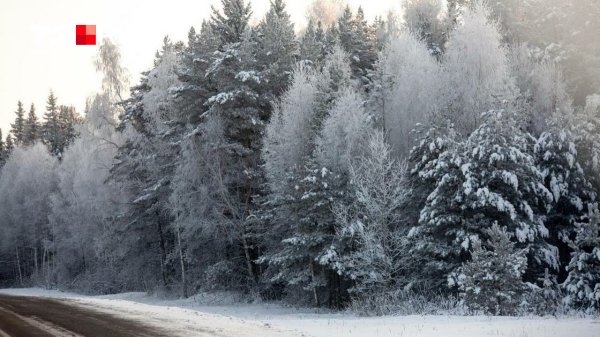 В Тюменской области расширяют федеральную трассу до Тобольска - обсуждение новости