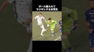 ボール蹴られてキレる谷晃生 #shorts #町田ゼルビア #jリーグ #サッカー