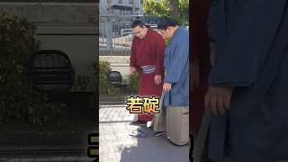若手のホープ！若碇！甲山親方の愛息子❣️ #若碇 #藤ノ川 #大相撲初場所 #相撲 #大相撲 #sumo #入り待ち #shorts