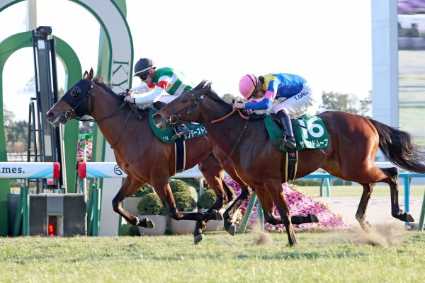 「何者やねん」「ＭＣハマー爆誕」９番人気の伏兵でシンザン記念を制したハマーハンセン騎手にネット称賛（馬トク報知） - Yahoo!ニュース