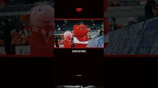 ルーク のがんばり。裏でのたゆまぬ努力。B.LEAGUE MASCOT OF THE YEARにかける想いは誰よりも強い。#アルバルク東京 #Bリーグ #バスケ