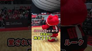 ちょっとツンデレな富樫選手にいじける(?)ルーク🐻😂#アルバルク東京 #Bリーグ #マスコット #Shorts