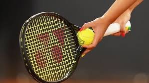 елена рыбакина