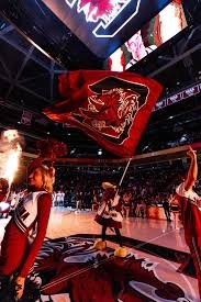 georgia vs south carolina