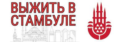 выжить в стамбуле