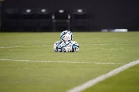 ботафого – крузейро