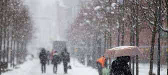 гисметео калининград