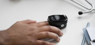 новости спб