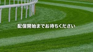 川崎競馬