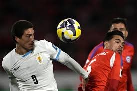 darwin nunez fenerbahce