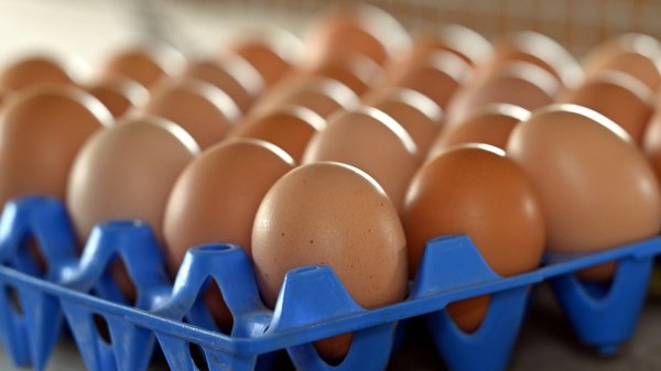 Pénurie d’œufs : producteurs locaux, boucheries, épiceries indépendantes… Où en trouver en dehors des grandes surfaces ?