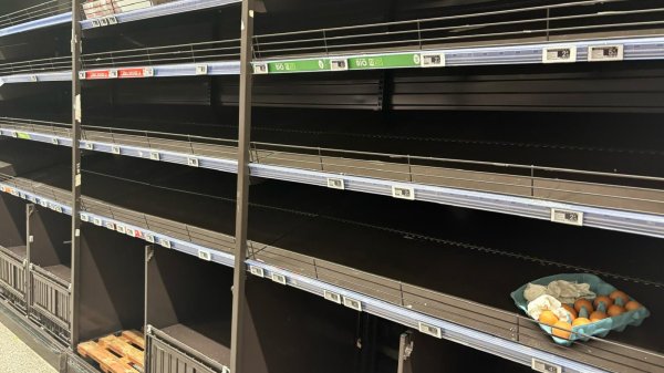 Pénurie d'œufs: pourquoi les rayons des supermarchés sont régulièrement vides