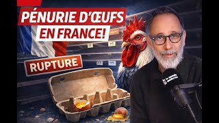 La pénurie d'oeufs expliquée. Ou pas.