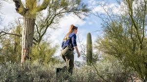 ozark trail hiker backpack