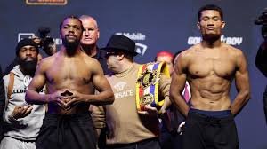 平岡アンディ世界戦