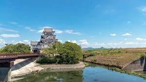 豊臣兄弟 蜂須賀小六 役