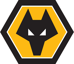 Wolves vs Liverpool