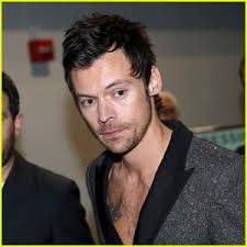 paint by numbers harry styles