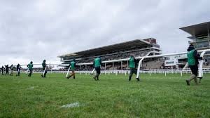 cheltenham tips today