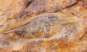 ichthyotitan severnensis discovery