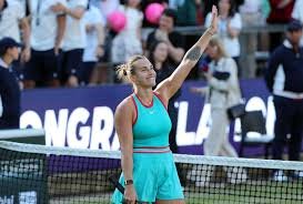 арина сергеевна соболенко