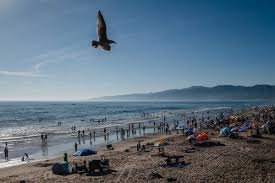 weather heat wave forecast