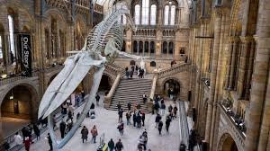 natural history museum london