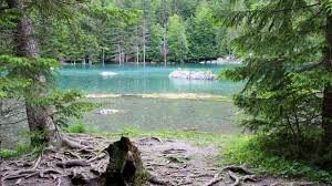 des rayons et des ombres