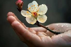 سال تحویل ۱۴۰۵