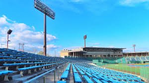 プロ野球 開幕戦