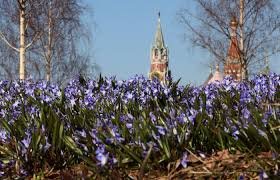 погода тольятти