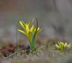 погода саратов