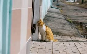 погода ижевск