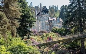 national trust membership